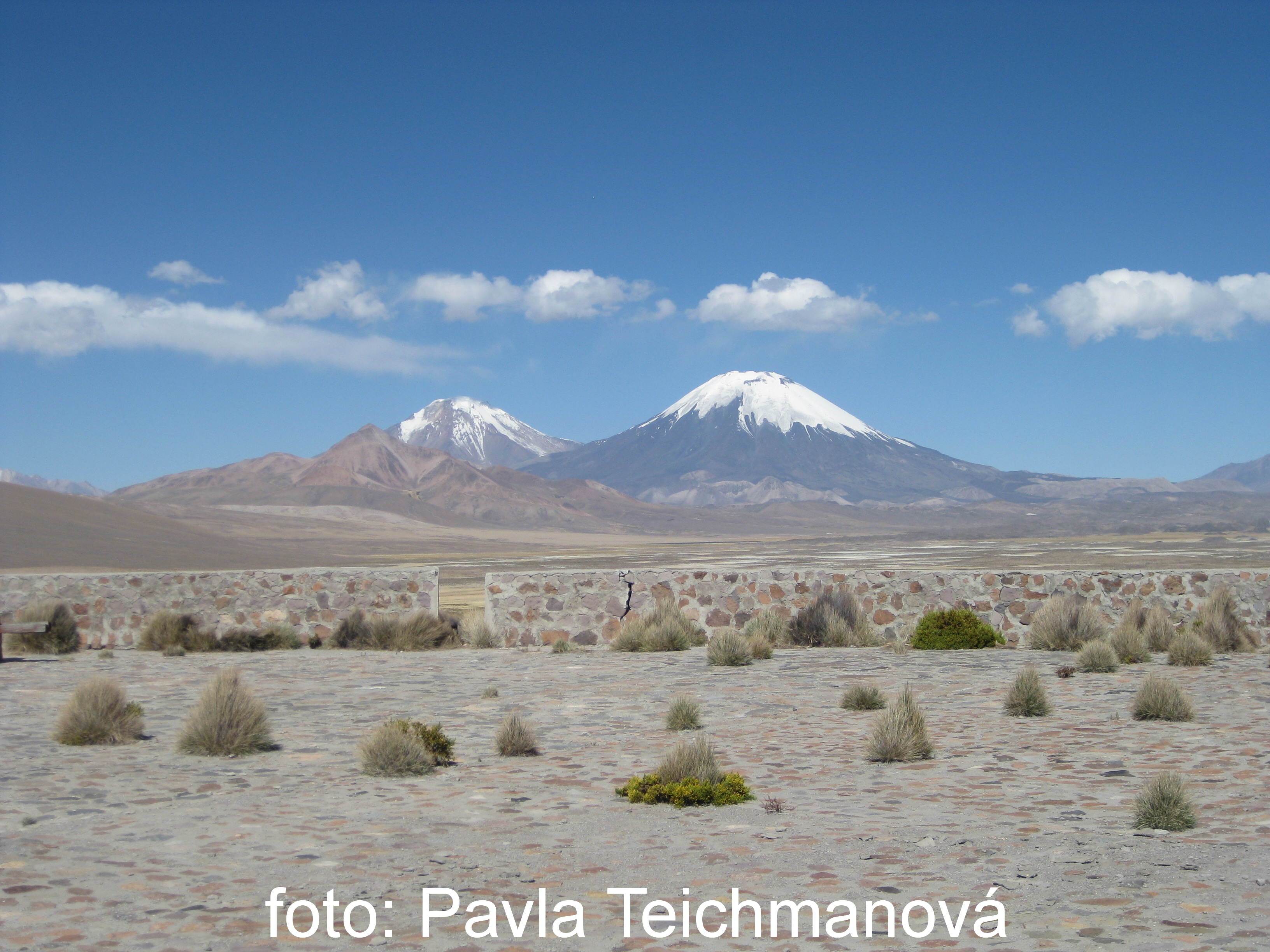 Chile-NP Lauca_0193