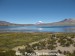 Chile-NP Lauca_0153