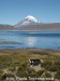 Chile-NP Lauca_0154